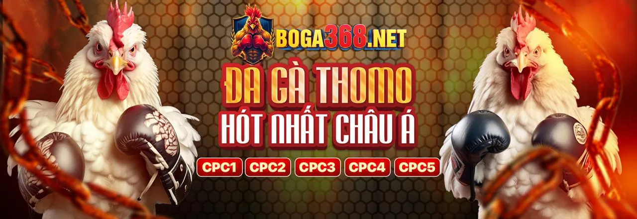 Chiến thuật đặt cược thông minh để 'win bet' hiệu quả