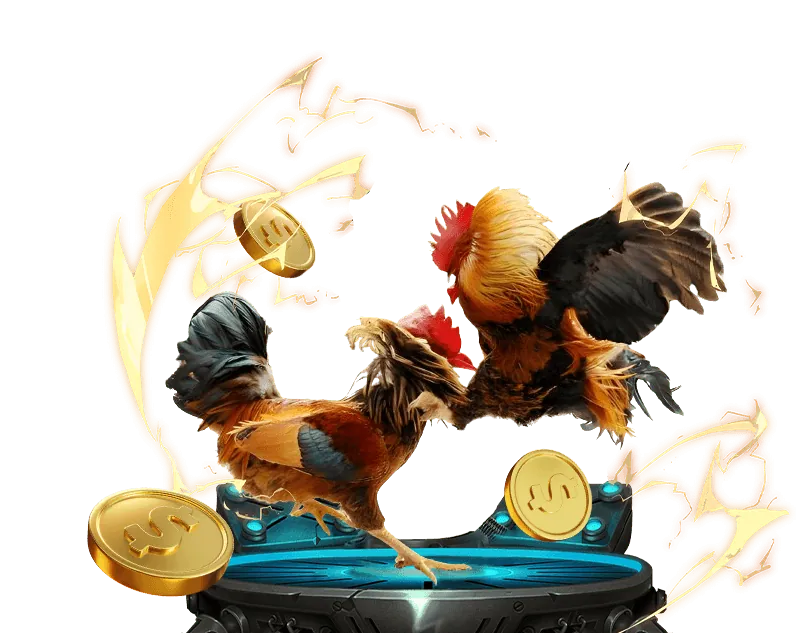 Cá cược trực tiếp K888